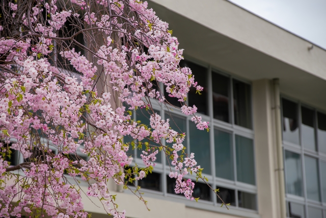 新しい通信制高校「四谷学院高校」本物の学力と本気の部活動で未来を育てる