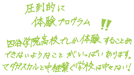 圧倒的に体験プログラム！！四谷学院高校でしか体験することができないようなことがいっぱいあります。マダガスカルと中継繋ぐ学校は中々ない！